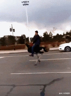 鲍鱼|“入秋的奶茶到底是什么意思？哈哈..难道真的是单身久了？”