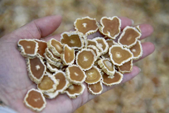 肾虚|为何男性肾虚越来越多？医生：改掉4个习惯，常吃3物，肾会变好