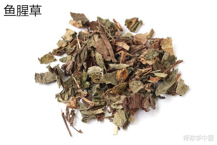 「痔疮」三味中药，洗掉痔疮！一张30年前老方子，值得科普研究