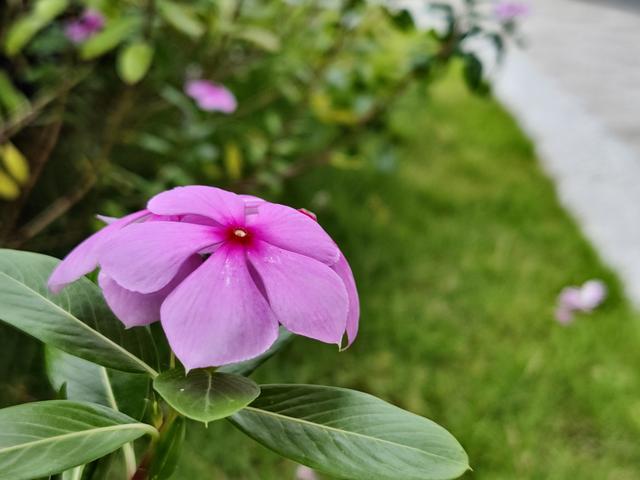 麒麟9000|5G改变社会？5G手机让万物可以实现触手可及