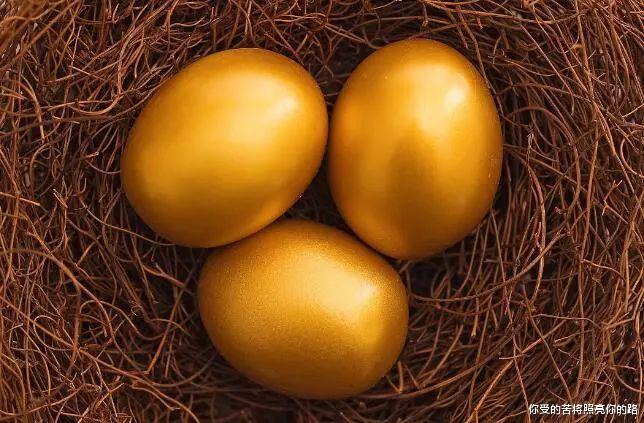 生肖|7月横财如雨,3大属相顺势翻身,得贵人扶持,苦难熬出头