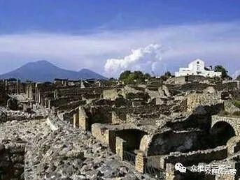 鹦鹉|34个全球至今无法解释之谜