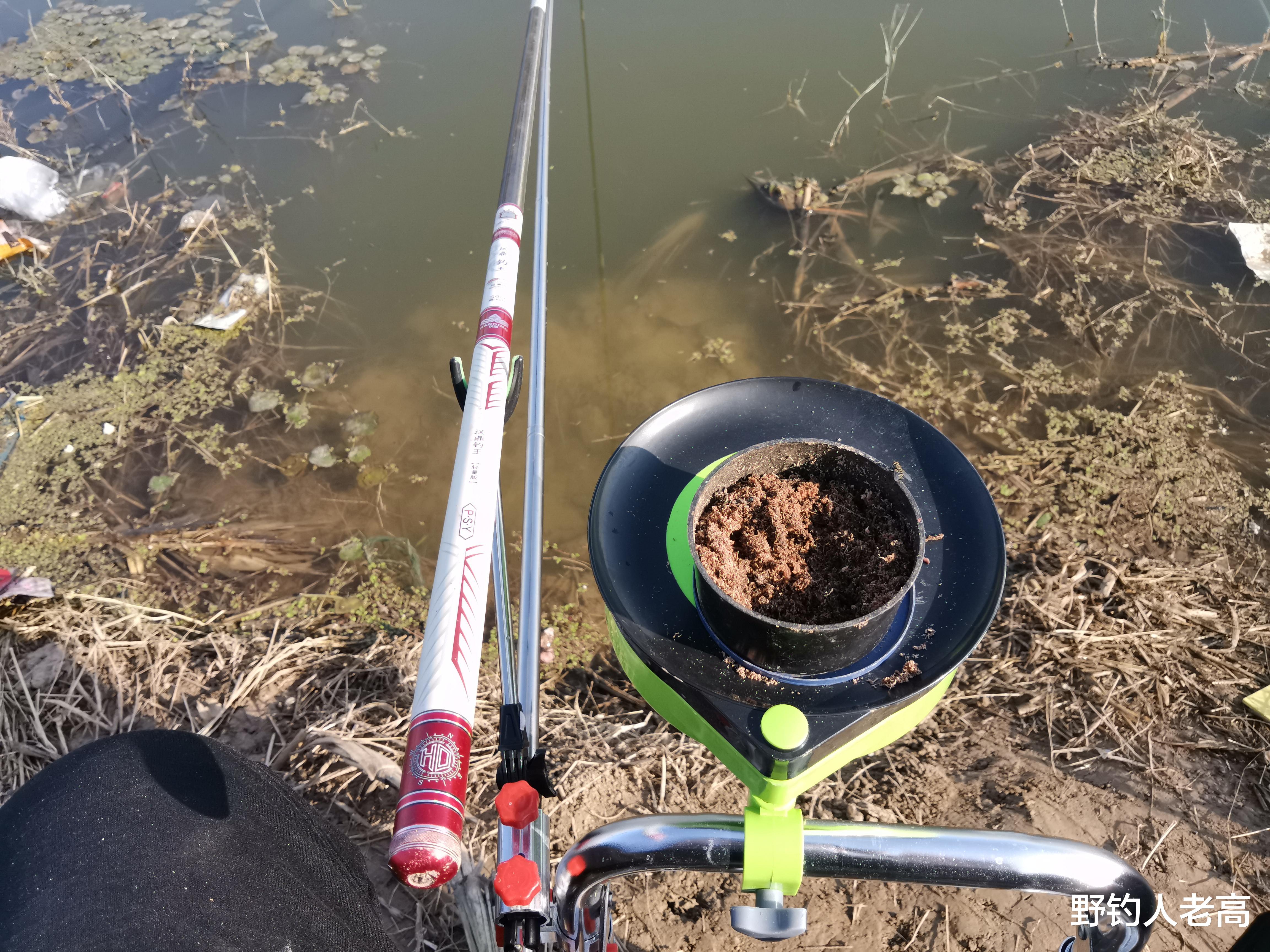 立冬|立冬后，选择这几个天气、时间段钓鱼，鱼护里起码有几条大鲫鱼！