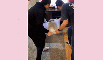 考试|趣读丨00后亲情翻车现场：“高考前是祖宗，高考后对不起列祖列宗”