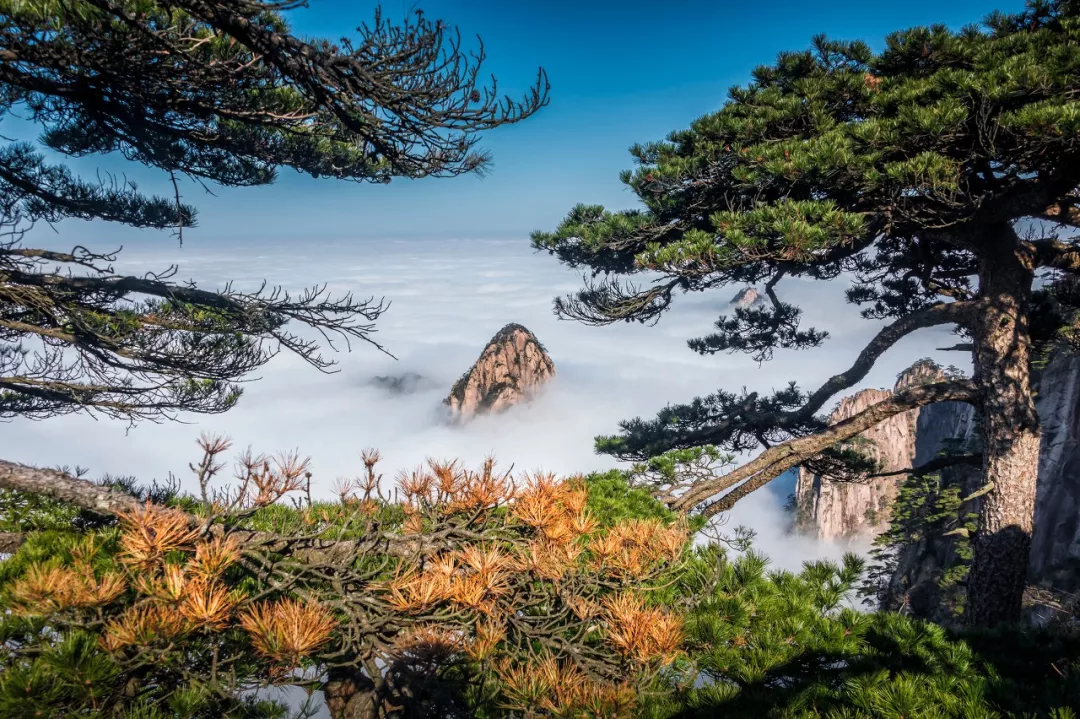 「华山」最适合一个人放纵的30个地方，我去过8个，你呢？