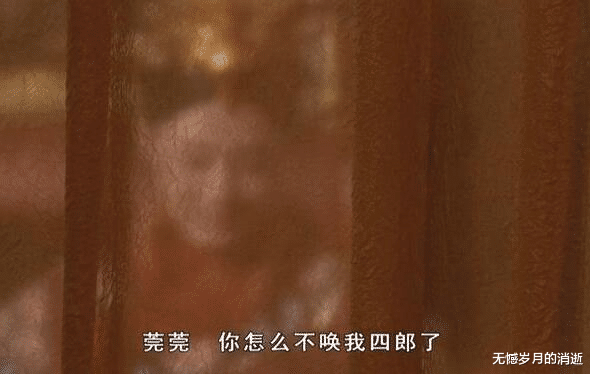 甄嬛|甄嬛诞下龙凤胎时,被子上为何撒满菊花?其实是掩盖不可告人的秘密