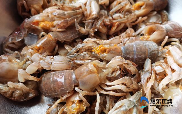 烟台|烟台人，走！钓虾去