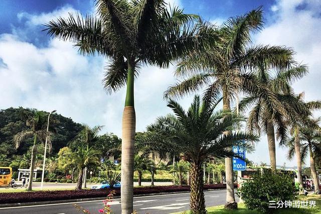 「厦门」国内干净程度排名前3的城市：大连遗憾落榜，第1名被赞名至实归