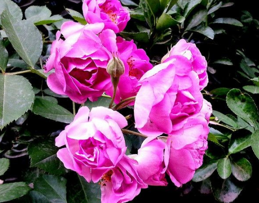 [运势]7月初遇贵人，4属相吉星照耀，运势逐渐回升，富贵荣达，家庭圆满