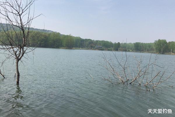 郑爽|冬季钓鱼，绝佳钓点汇总，这里鲫鱼扎堆过冬，钓大鲫鱼更容易！