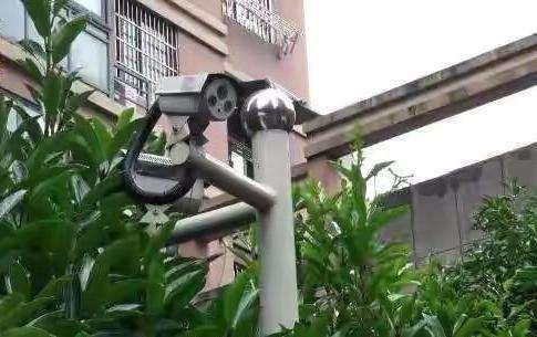 监控视频|7个监控没拍到人！杭州失联女子还在小区？警方搜查结果令人绝望