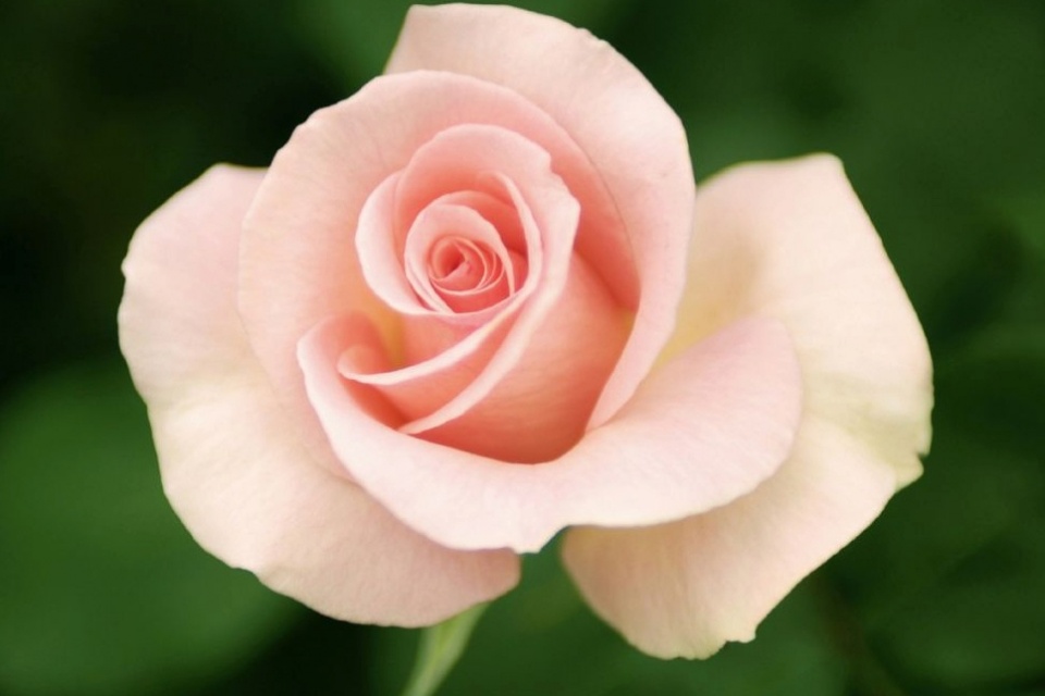 星座女|懂得为自己投资的星座女，外表打扮得光鲜亮丽，内在也够充实