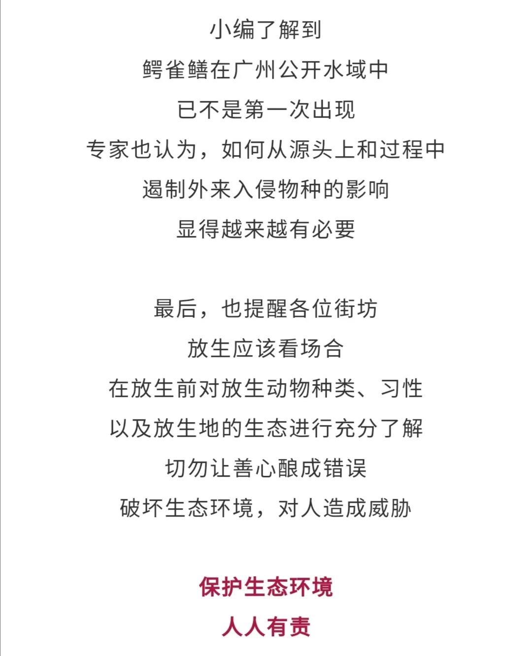 贵阳晚报|公园湖内惊现巨型“食肉水怪”,缉拿归“岸”后原来竟是…