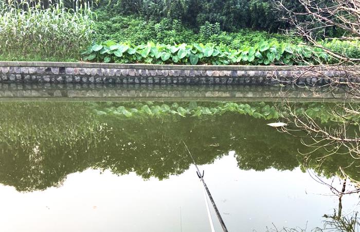 饵料|实用钓鱼心得分享，掌握这些助你十一假期多多钓鱼