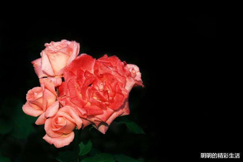 生肖|接下来三天转运重生，3生肖渡过难关，财运临门，贵人不请自来