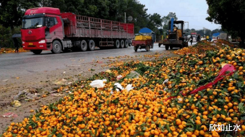 欣如止水 不再仁慈对待！中国直接暂停220批水果大单，越南着急了？