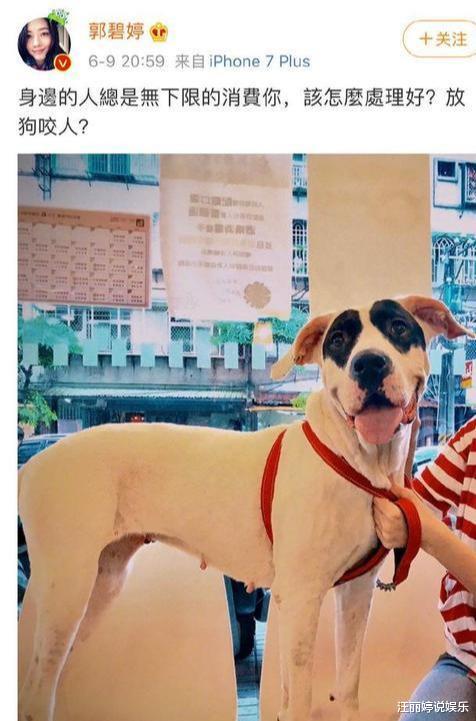 「向太」郭碧婷自曝被无限“消费”,向太力挺的背后是对入狱儿子的双重打击