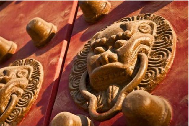 河南|河南老汉钓鱼钓到“乌龟”,颈侧及盖插有4箭,专家鉴定:值18亿!