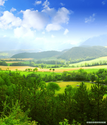 |未来十天，4属相好运多，欢乐多，惊喜不断，富贵十足，福禄双全