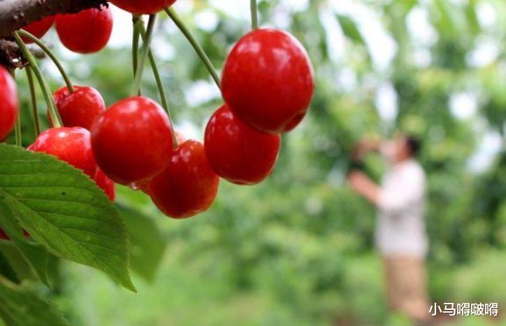 「心肌梗塞」53岁男子，心梗离世，提醒：人到中年，饭后2件事，尽量少做