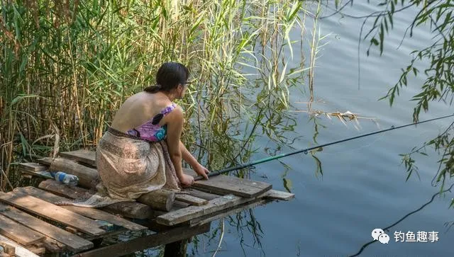 ：夏季自然水域作钓，水底有草这样做