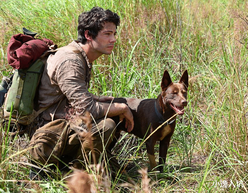 电影|《爱与怪物》，末日的世界里面，人类只能在地底生存？