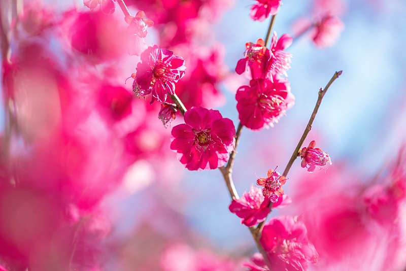 白羊座|9月开始贵人指点，鱼跃龙门之势，日子有钱不难的4生肖