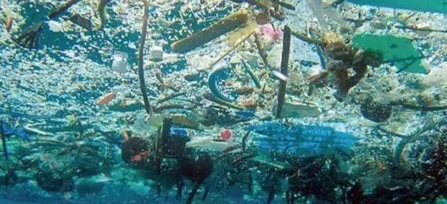 中国卫星|中国卫星传回照片，疑似“新大陆”？英法美：你发现的归你