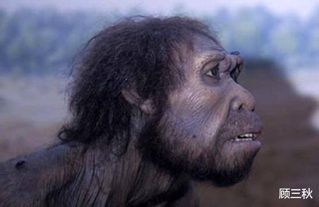 尼安德特人：尼安德特人的复仇：和现代人祖先春风几度，给我们留下无尽祸根