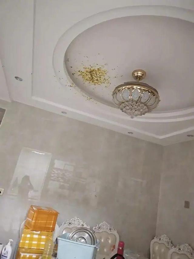 可乐|威力堪比「可乐+曼妥思」！为什么百香果酱一碰就炸？