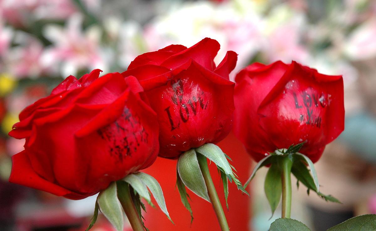 生肖|未来10天，执念已断，两不相欠，3星座一拍两散，此生再不相见