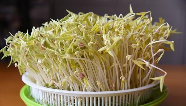 木耳|再三告诫：6种蔬菜，也许比槟榔还“伤身”，别再出现在饭桌上了