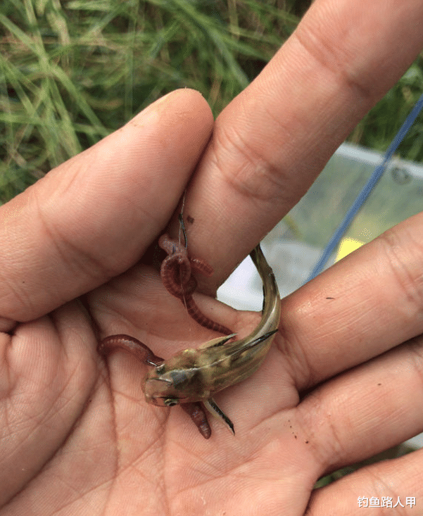 @钓鱼这么好玩，为啥很多老钓友都“脱坑”了？这几个理由很扎心