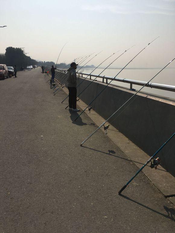 鲫鱼|一天钓鱼千斤？这位专家被喷惨，但事实是10%的人钓走了90%的鱼