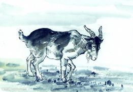 生肖|羊羊羊：最近一周，运势上上吉，好机会增多，财运扶摇直上