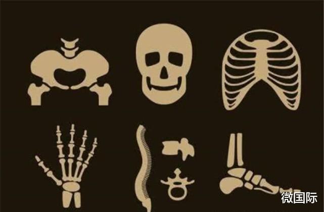 科学家|退化还是进化？被人抛弃的身体器官再次出现，科学家正全力研究