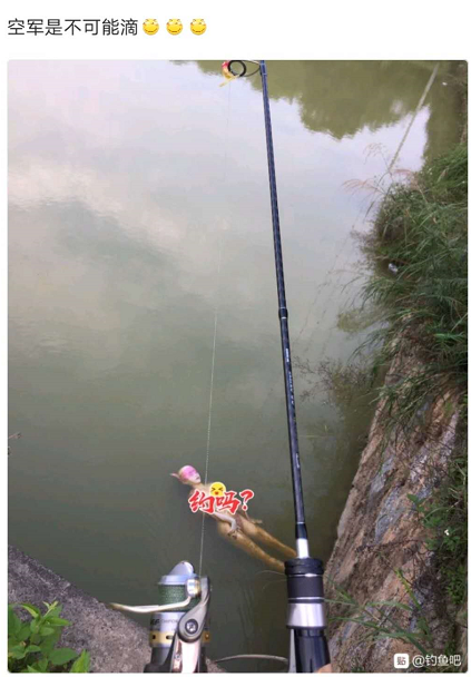 港珠澳大桥|港珠澳大桥上钓鱼？钓鱼佬的沙雕，你根本想象不到