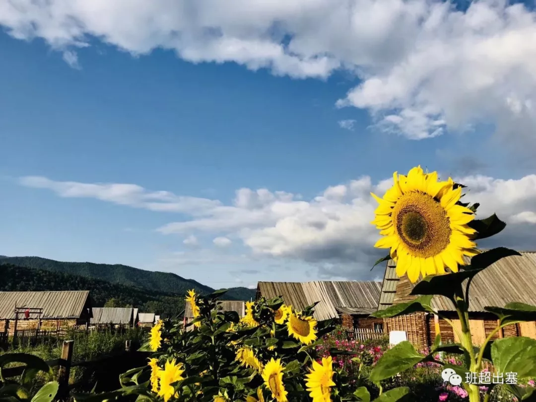 『新疆维吾尔自治区』遗憾的是，你听过独库公路，却不知道_____（一）