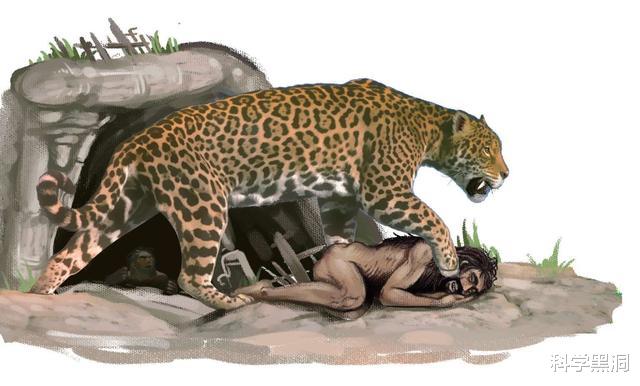 南方古猿|大部分生物都有天敌，为什么人类没有？