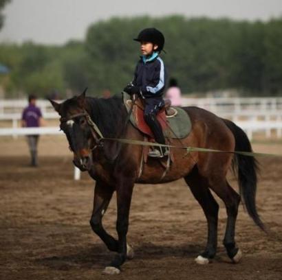 王诗龄|中产娃兴趣班3类鄙视链，钢琴垫底，网友：“王诗龄们”才上得起