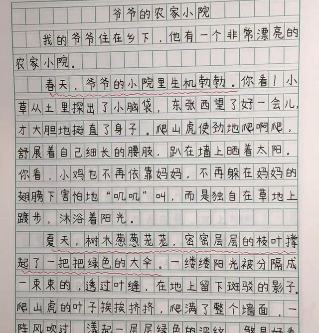 「作文」小学老师晒小学生优秀作文，不仅思路清晰而且书写堪比“印刷体”