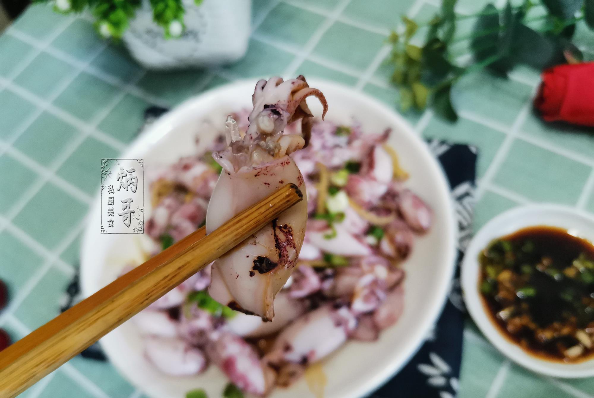 鱿鱼|9月，碰到这海货千万别错过，纯野生非养殖，简单一捞，就盘它！