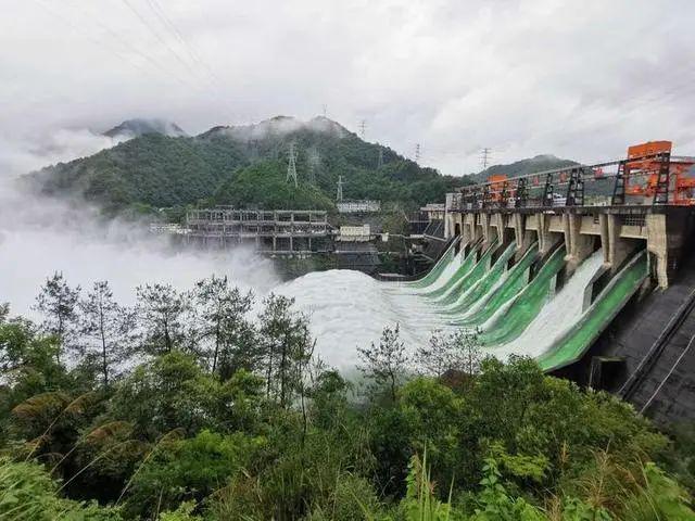 半岛晨报|9孔全开泄洪后，有居民区淹至二楼，树都淹到树冠部位了