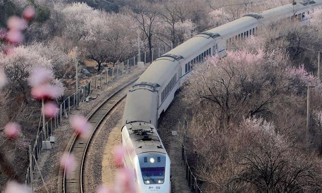 新能源|美日将嗅到最大能源危机，中国继高铁后，另一张国家名片将横空出世