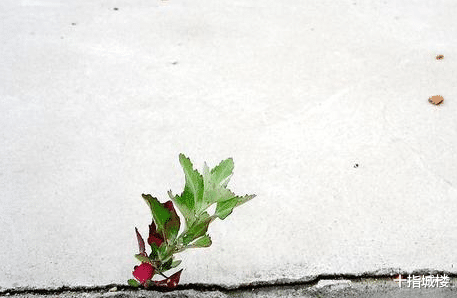 负债累累的日子