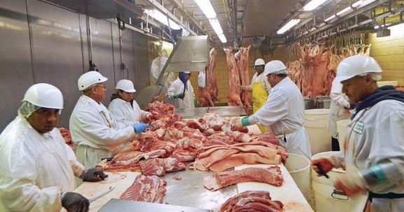 猪肉|关键时期，中国为何要从美国进口4万吨猪肉？看完明白了