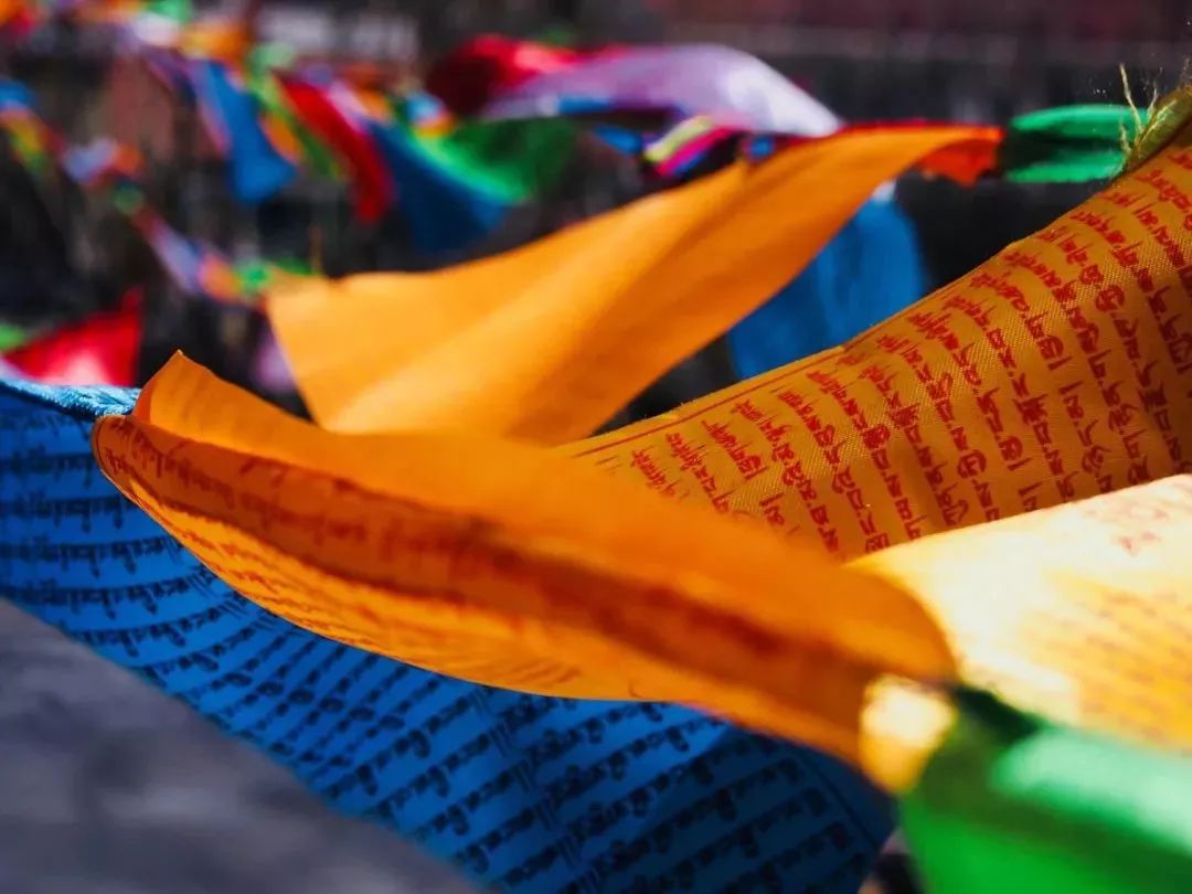 [藏南]你知道川藏南线和北线有什么区别吗？