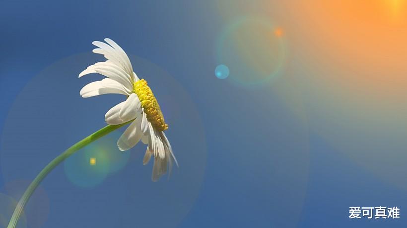 『属鼠』生肖狗：5月下旬，运势上上签，金银堆满屋