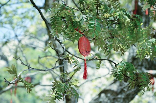 生肖|不再受穷苦!3生肖,今年9月好运当头,财运疯涨,幸福又自在!