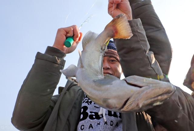 |野钓时，对渔获影响最大的客观因素，真的没有那么多